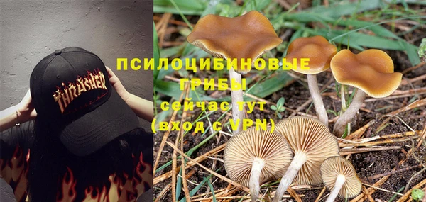 герыч Балахна