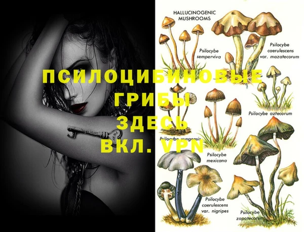 гидропоника Остров