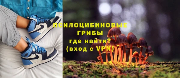 спиды Арсеньев