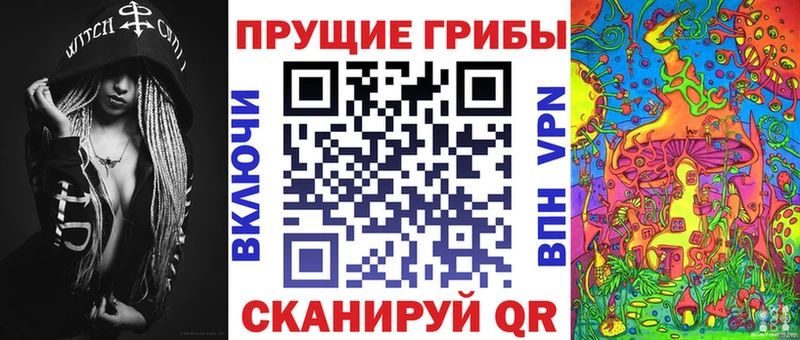 Псилоцибиновые грибы Cubensis  наркотики  Цивильск 